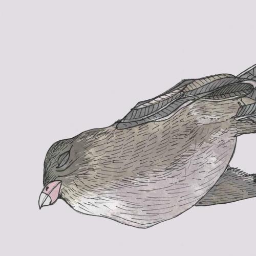 31753fffe5c34aa3dac190e59792873a