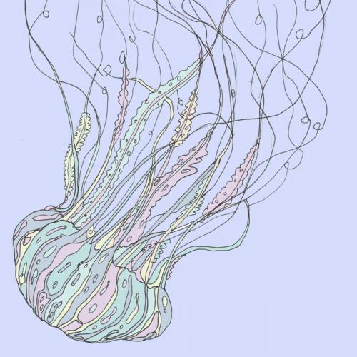 5faf828279dfd4391994ca88e666ba17