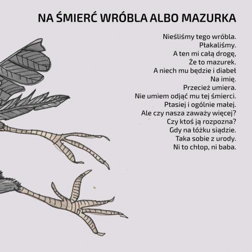 cc4acc0fe3c7769c496125d3feb0858e