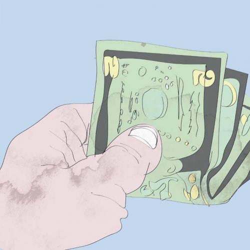 e7a48691e5a5b4e5b4a71288042f3f09