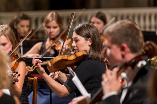 3300db8b7fe185ab8d71ce1b277b12ae