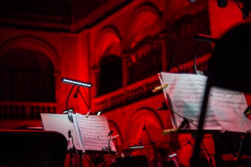 ffe8db70964a5a52a5977d9e3aac3782