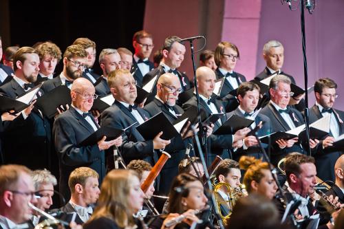 (c) fot: Beata Czarnecka www.beataczarnecka.com