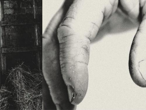 0170196bdd9c833333b3f338babebdf4