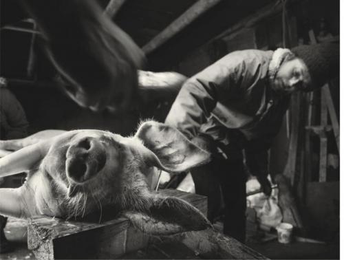 0be16708103d7685b35db017ceb360bb