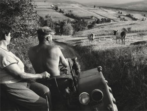 13c80522d547633c46f6dc40aba08c37