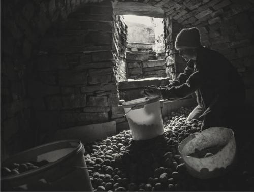 172d1ad6703b8ae14c09a66d81037db9