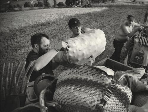 43d6e94bd9cdf0198e0afb32c35cf53e