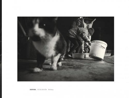 5f86c3f6caeb3ccbae7e9e82ab75511d