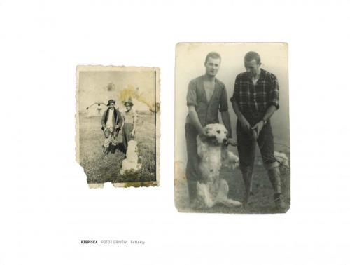 82b283c8dbf784a97152f93b654e307c