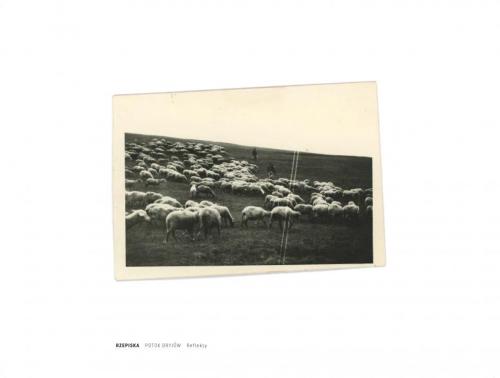 8befb2c59e5791da588b330d5ece6572