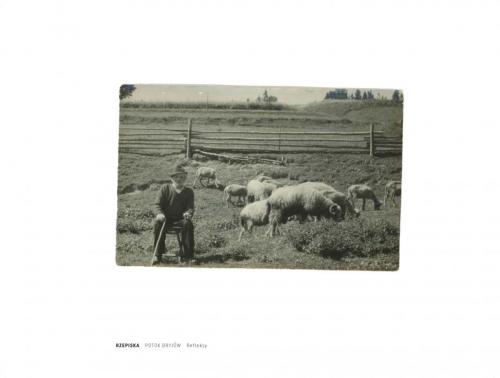 9b0cd0bd7d8813b68bdcca5527d7286e