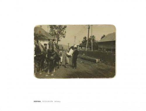 9e7853a0348df8e4a4d6ede0c16634f0