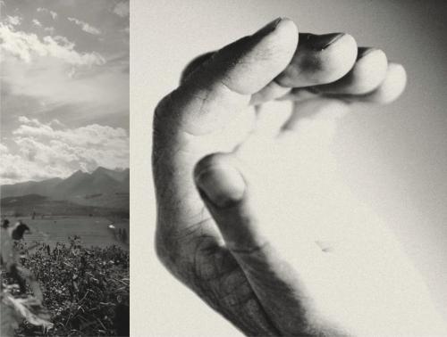 9fc7a31c7ba37755155fa21f23698093