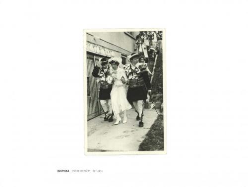 aae29ff4db1b8918607c0623292cfc24