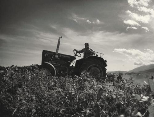 c0f11f5b47790a060e9976f4883ad544