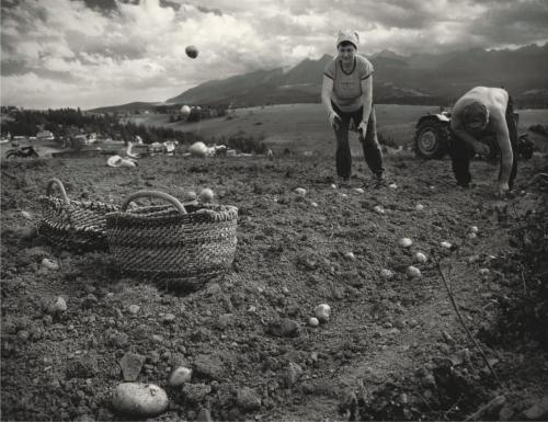 e0db724a9e4f0960bf04e4d9ef5b94a9